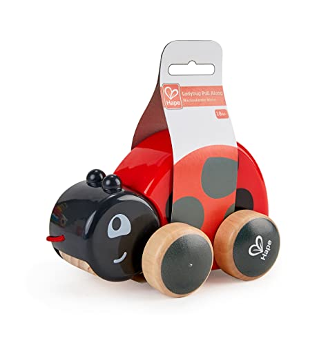 Ladybug Pull Along
