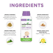 Wellements Organic Gripe Water | 0-12 Months