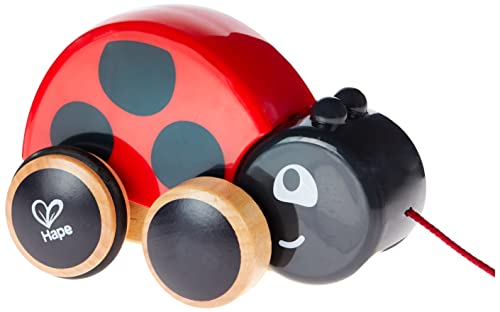 Ladybug Pull Along