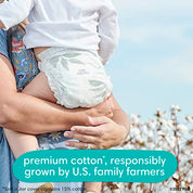 Pampers Pure Diapers