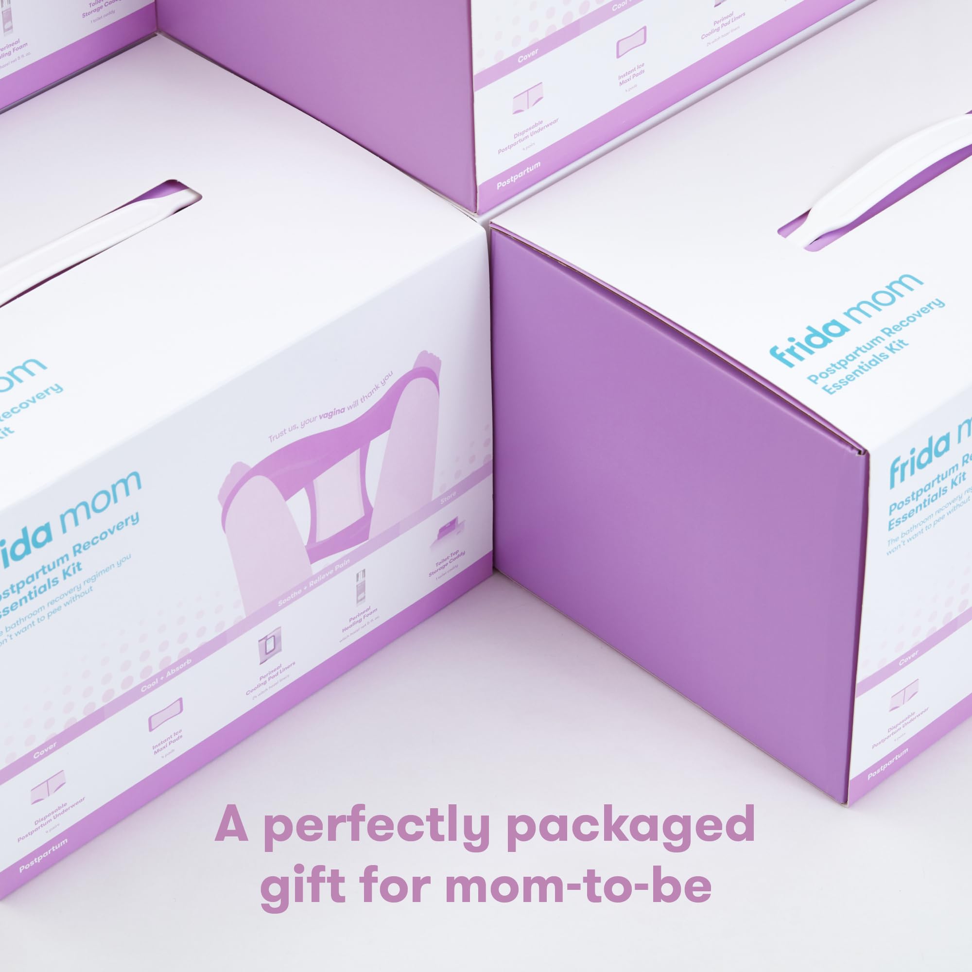Frida Mom Postpartum Recovery Essentials Kit