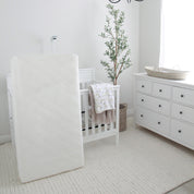 Newton Baby Crib Mattress and Toddler Bed