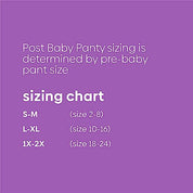 Post Baby Panty Postpartum Care | High Waist